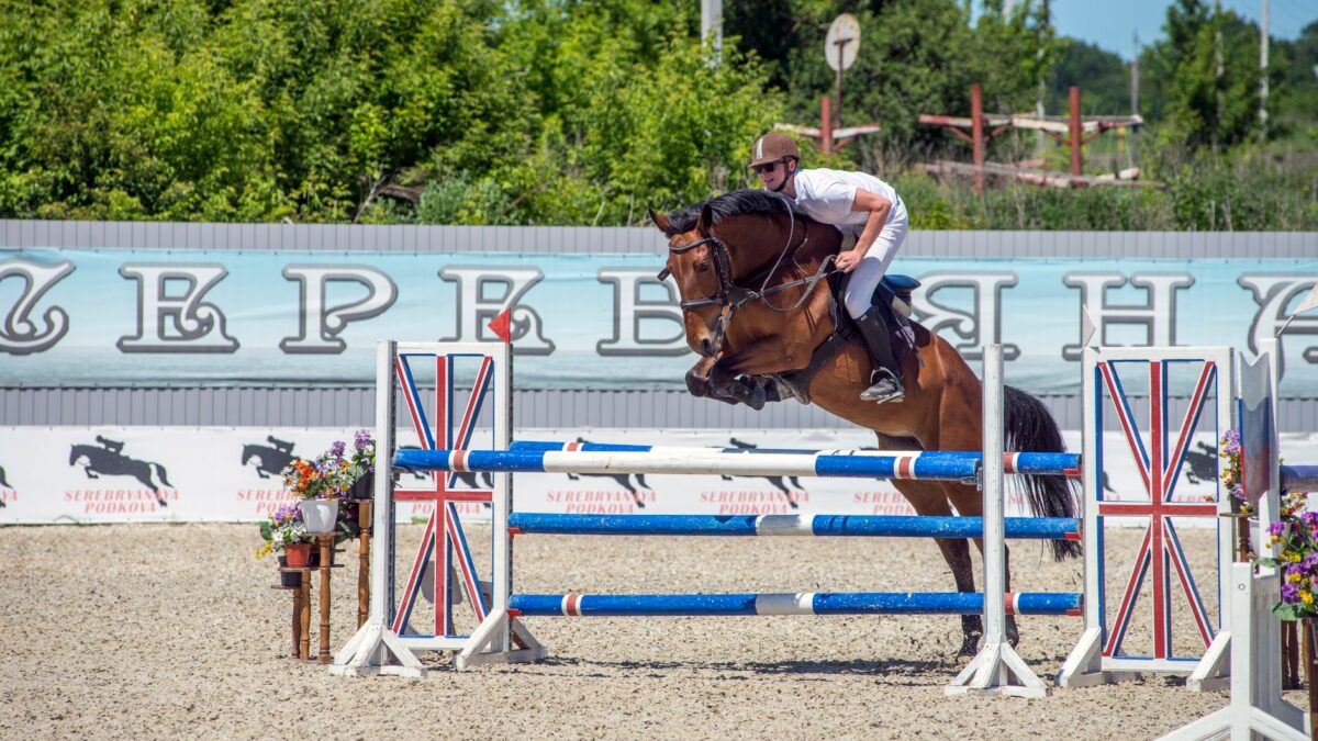 Tre lovende 9-årige springheste at holde øje med før VM i Aachen