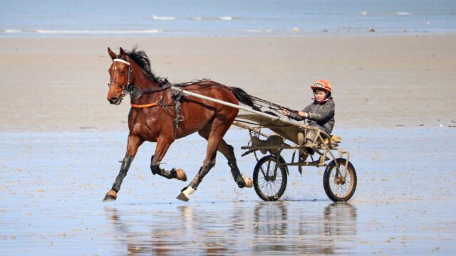 Inferno DK satte banerekord i Steve Wiseman Memorial-indledning i Minnesota