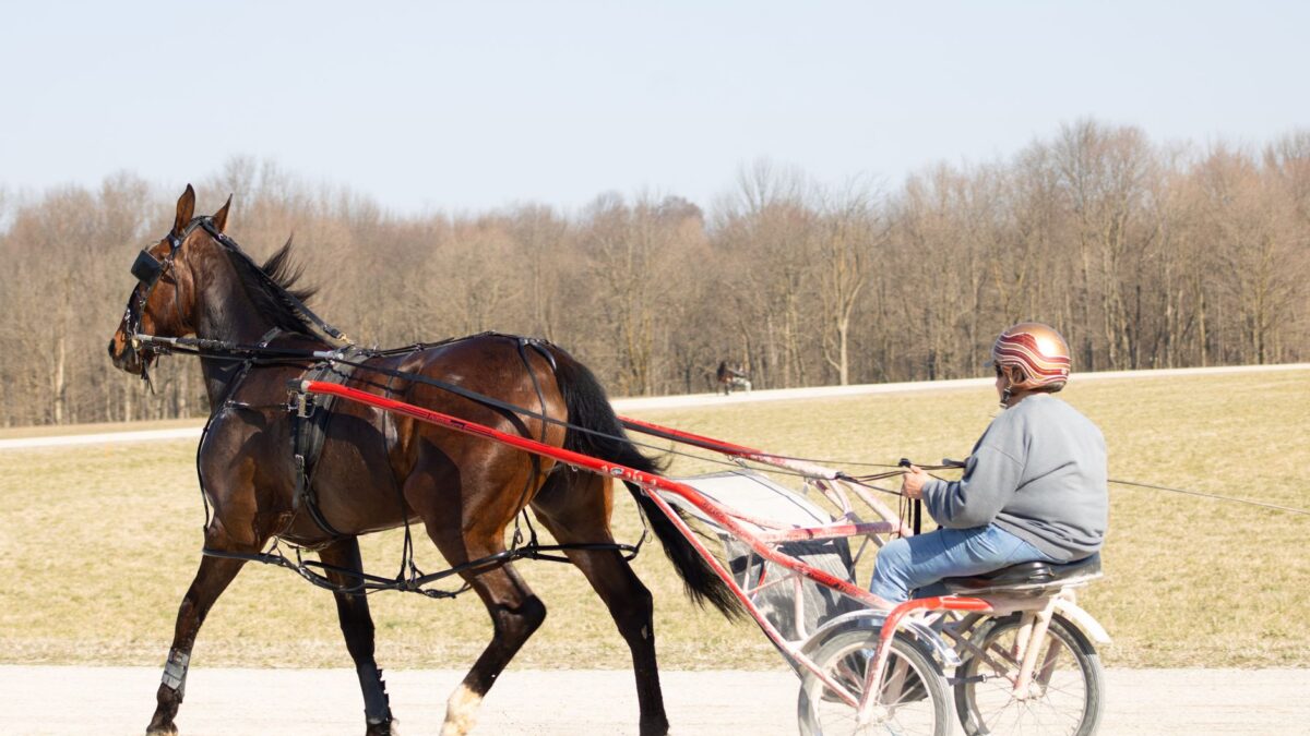92-1-outsideren Bijou Blue Chip chokerede alle på debut i Pocono