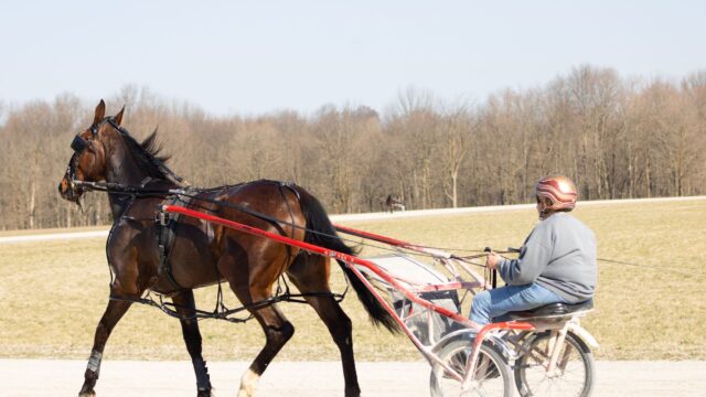 92-1-outsideren Bijou Blue Chip chokerede alle på debut i Pocono