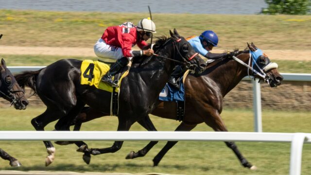 Overraskelsen On Message chokerede favoritterne i Upavon Fillies’ Stakes