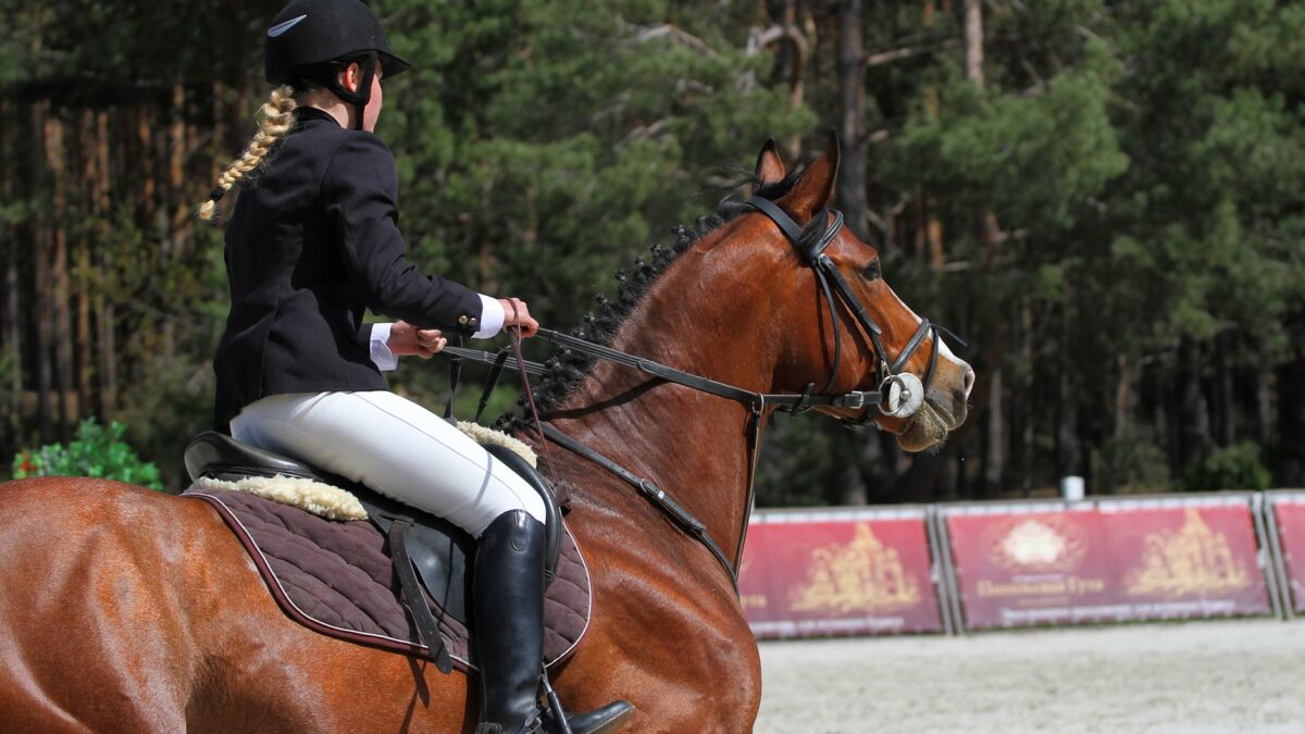 Danmark sikrer OL-billet med VM-bronze i dressur – Laudrup-Dufour bedst af alle