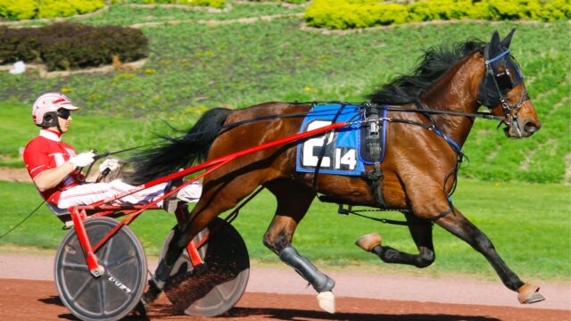 Ante Up Hanover tæt på 16 år gammel banerekord ved Honesdale-stævne