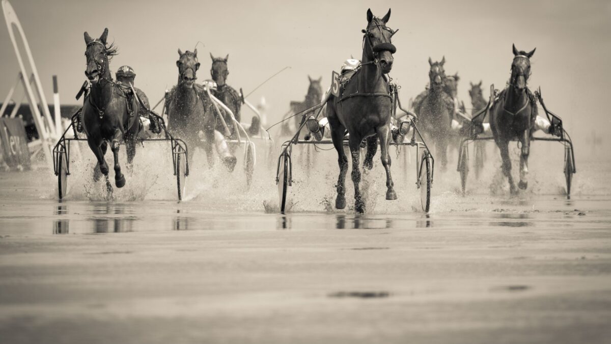 Hunting Glory og Cooperstown Boy sikrede sig sejr i spændende NYSS-heat på Yonkers