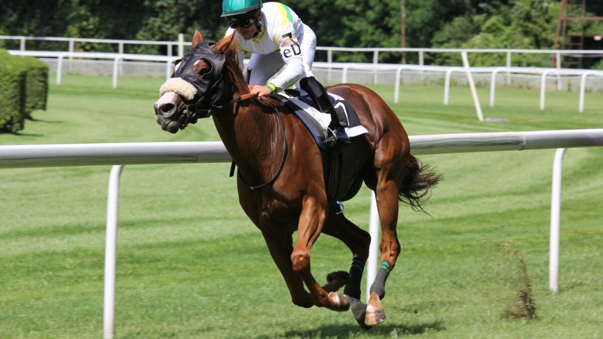 Baroud overraskede som outsider og slog favoritten Daryzan i Deauville