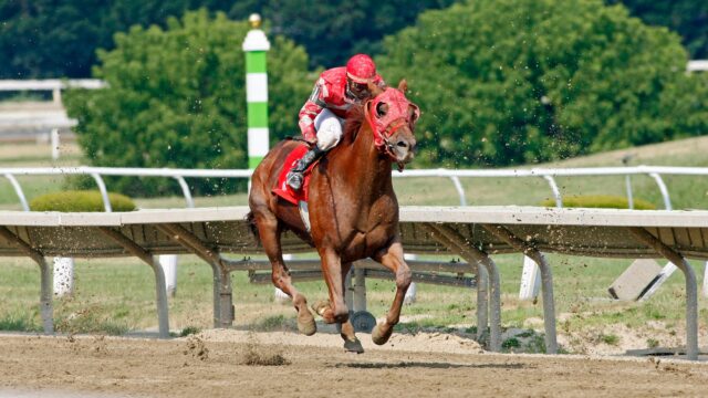Coppull sprænger overraskelsen i Hungerford Stakes – favoritten må se sig slået