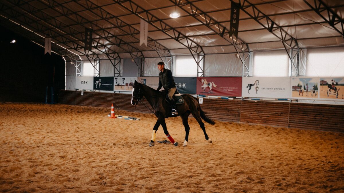 Carl Hester leverede vild Bowie-kür i Aachen – sigter nu mod ottende OL