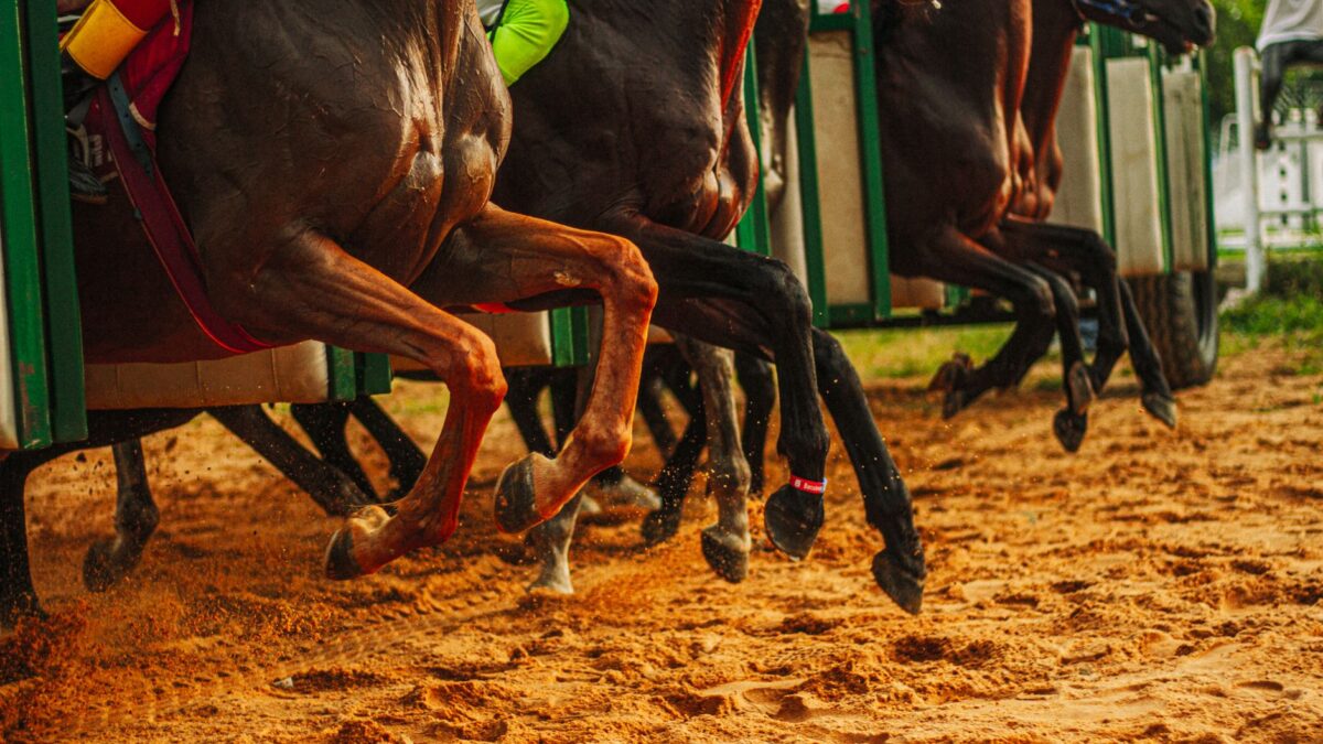 Ny stakesløb for tidligere misbrugere sat på programmet til Pennsylvania Derby Day