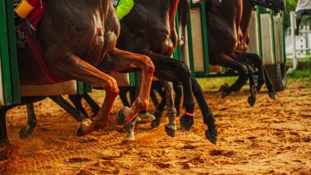 Ny stakesløb for tidligere misbrugere sat på programmet til Pennsylvania Derby Day