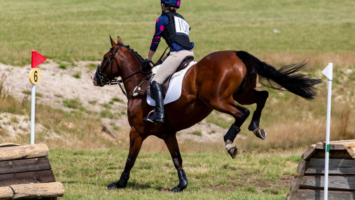Tom McEwen dominerer efter terrændagen ved Blenheim Horse Trials