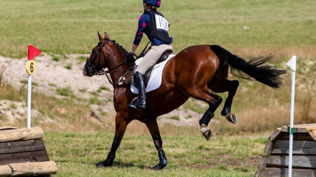 Tom McEwen dominerer efter terrændagen ved Blenheim Horse Trials
