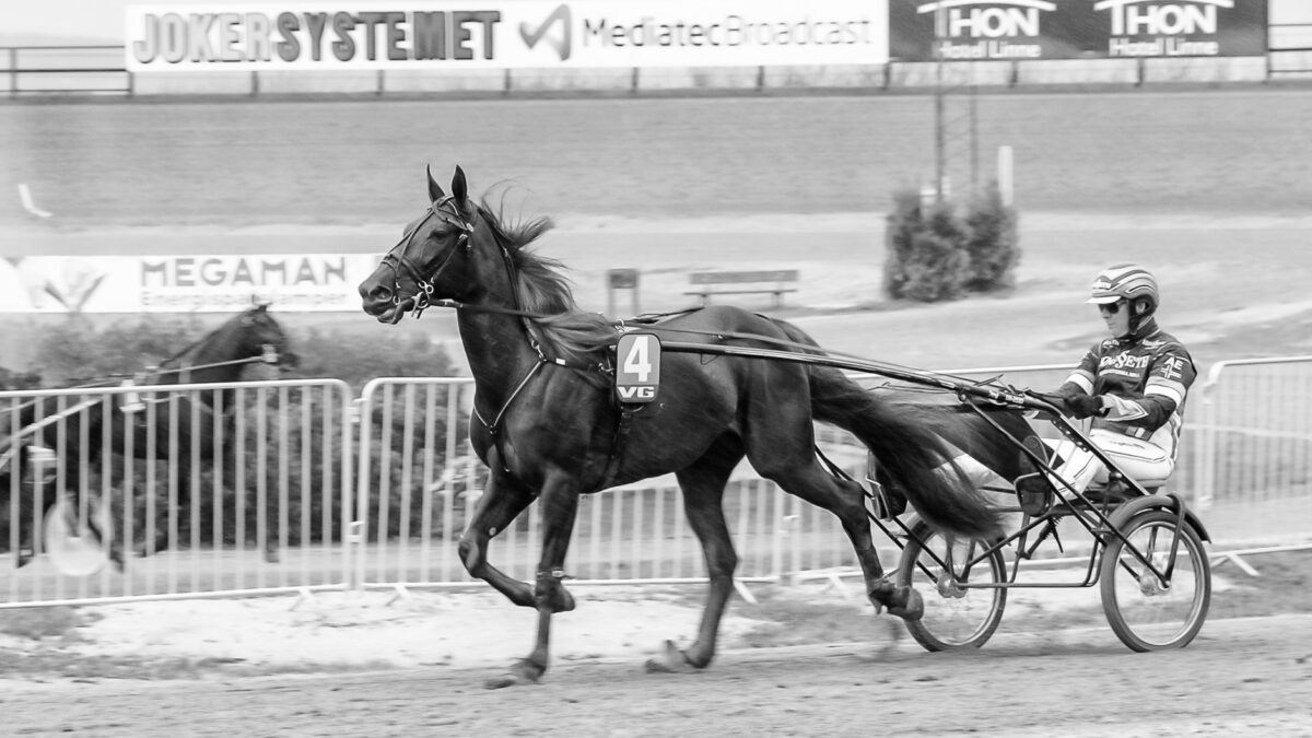 Onlinespil holdes ude af EU’s budget: Lettelse for trav og galop, men truslen lever