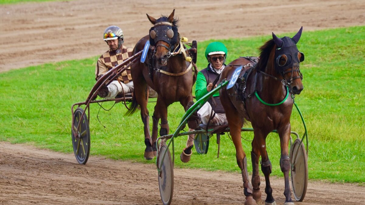 Forever Young kan kopiere Tiznow: Japansk stjerne klar til Classic-forsvar på Keeneland